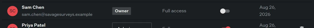 A member row showing the role select, the team project access select, and the pay-as-you-go switch