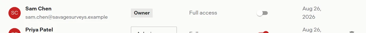 A member row showing the role select, the team project access select, and the pay-as-you-go switch