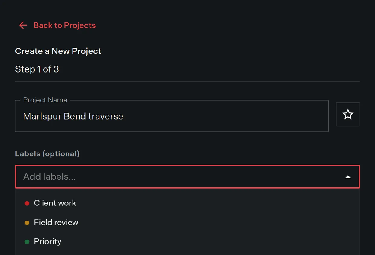 Step 1 of the create project wizard with the project name field, the star toggle, and the labels picker