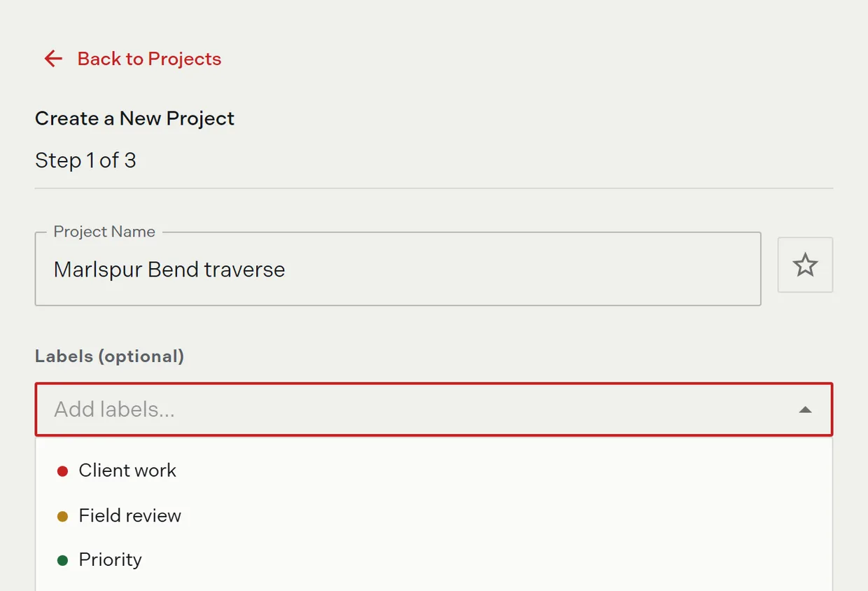 Step 1 of the create project wizard with the project name field, the star toggle, and the labels picker