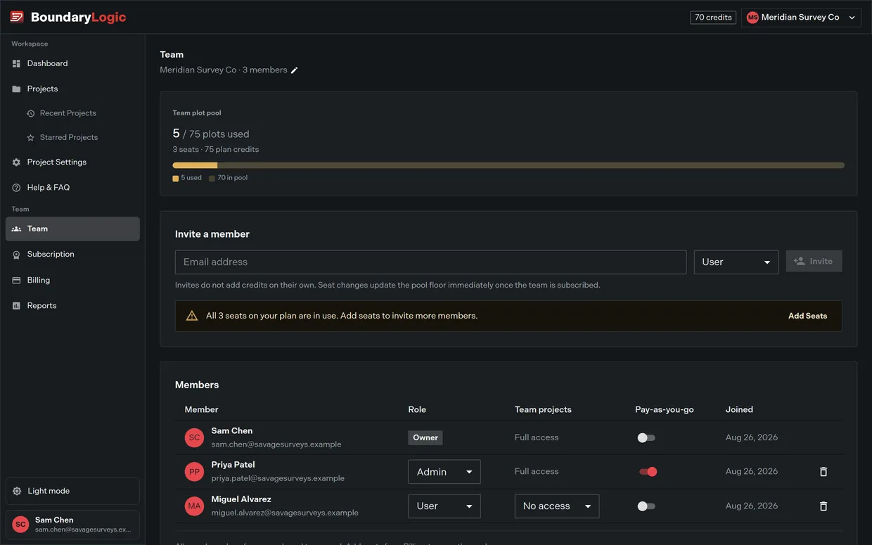 The full Team page: the team plot pool, the invite a member row, and the members table with roles and access
