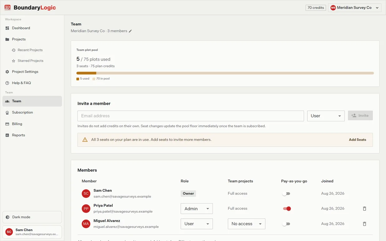 The full Team page: the team plot pool, the invite a member row, and the members table with roles and access