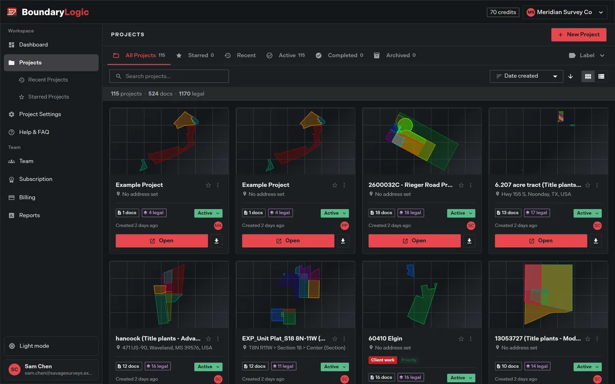 The full projects page on a team using labels, with the scope tabs, the search row, the label filter, and the project cards