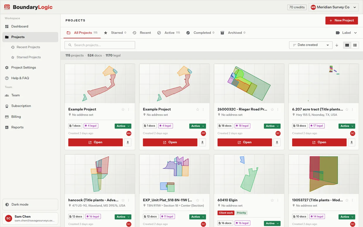 The full projects page on a team using labels, with the scope tabs, the search row, the label filter, and the project cards